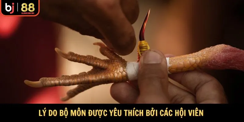 Lý do bộ môn được yêu thích bởi các hội viên