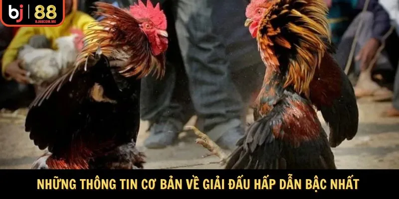 Những thông tin cơ bản về giải đấu hấp dẫn bậc nhất