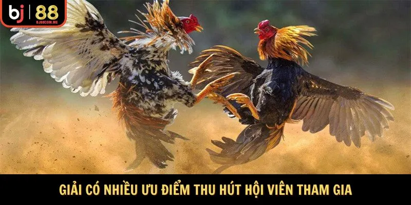 Giải có nhiều ưu điểm thu hút hội viên tham gia