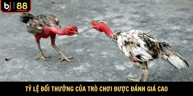 Tỷ lệ đổi thưởng của trò chơi được đánh giá cao