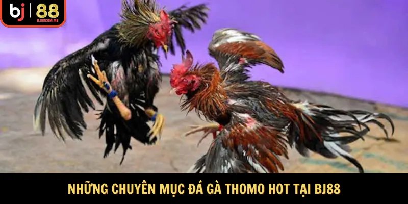 Những cửa game đáng thử nhất