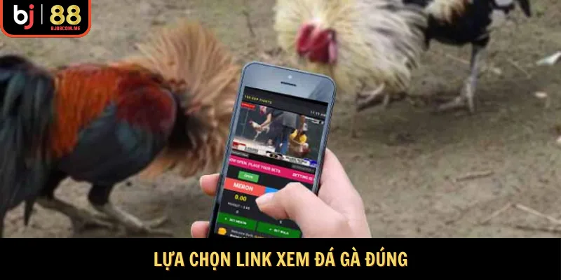 Lựa chọn link xem đá gà đúng