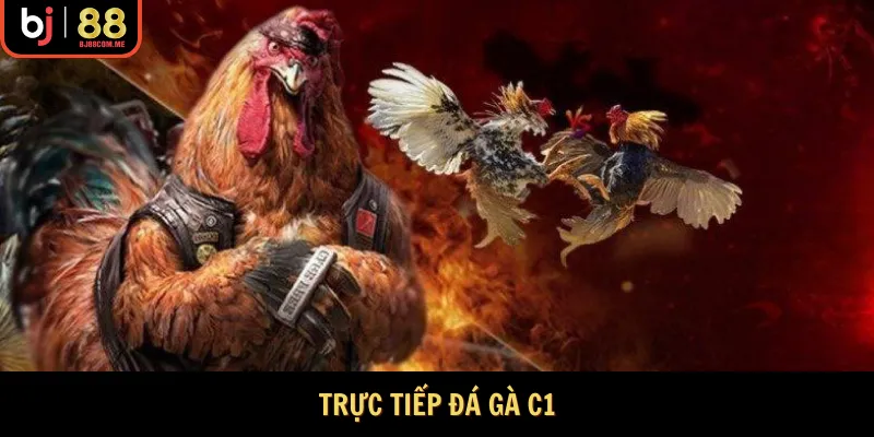 trực tiếp đá gà c1